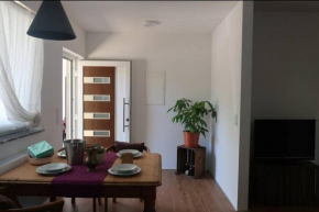 Grüner Baum ferienwohnung